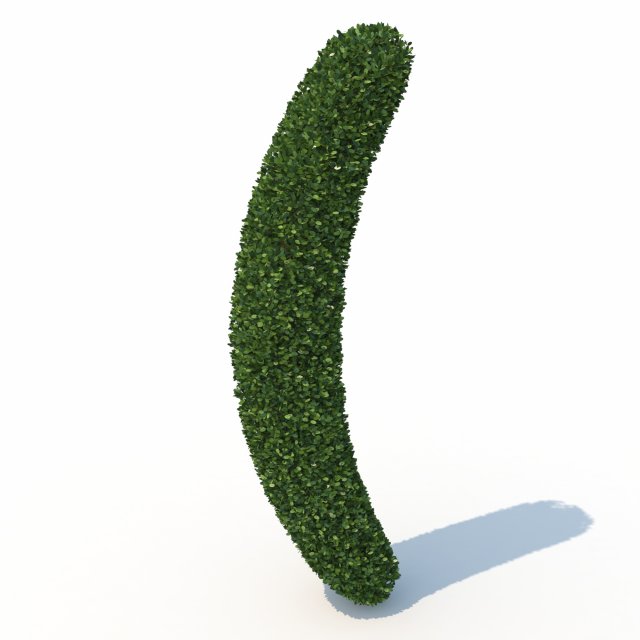 hedge 3D 模型 .c4d .max .obj .3ds .fbx .stl .blend 