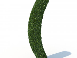 hedge 3Dモデル