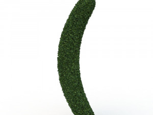 hedge 3D 模型