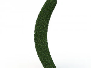 hedge 3D Model