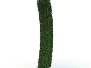 hedge 3D 模型