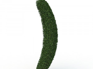 hedge 3D 模型