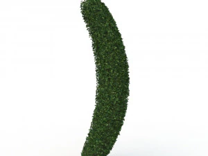 hedge 3D Model