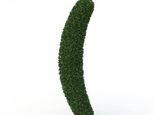 hedge 3D 模型