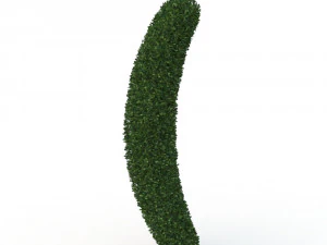 hedge 3D Model