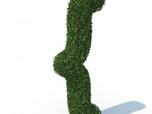 hedge 3Dモデル