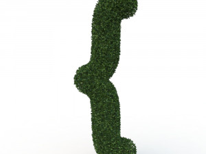 hedge 3D Модель