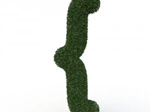 hedge 3D Model