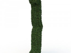 hedge 3D Модель