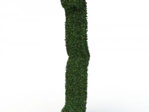 hedge 3D Model