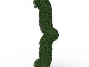 hedge 3D Модель