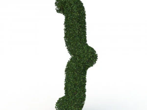 hedge 3D Model