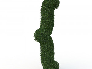 hedge 3D Модель