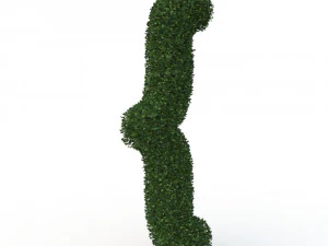 hedge 3D Model
