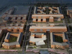 city planning 3D Model