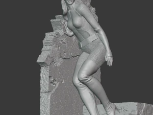 catwoman 3D Print Model