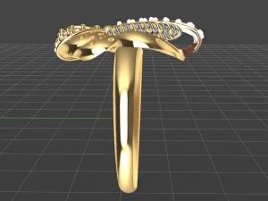 ring 3D Print Model