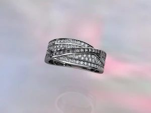 ring 2018 3D Print Model