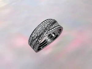 ring 2018 3D Print Model