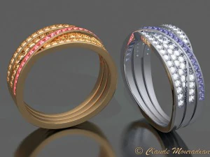 ring 2018 3D Print Model