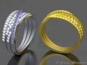 ring 2018 3D Print Model