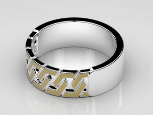 ring 2019 Modèle 3D