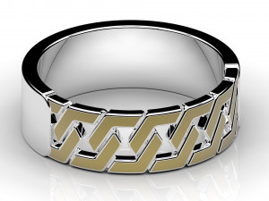 ring 2019 Modèle 3D