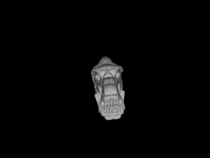 viking warrior 3D Print Model