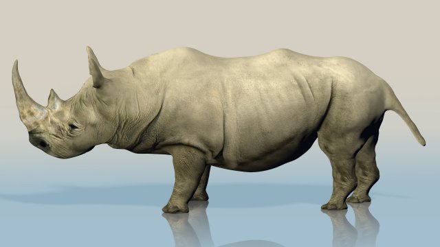 realistic wild rhino Modelo 3D .c4d .max .obj .3ds .fbx .stl .blend 
