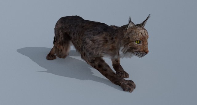 lynx 3D Model .c4d .max .obj .3ds .fbx .stl .blend 