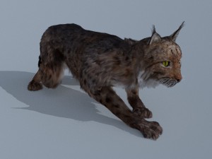 lynx Modelo 3D