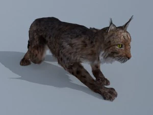 lynx Model 3D