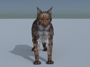 lynx 3D Model