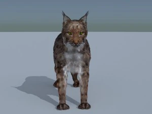 lynx 3D Model