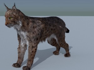 lynx 3D Model