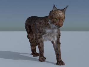 lynx 3D Model