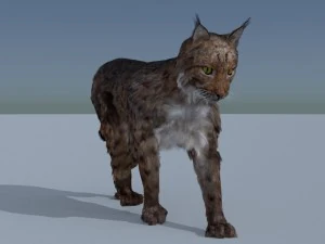 lynx 3D Model