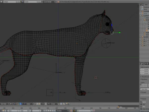 lynx 3D Model