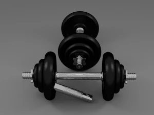 articulação com haltere 20 kg Modelo 3D