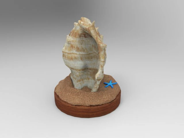 Seashell 3D Model .c4d .max .obj .3ds .fbx .stl .blend