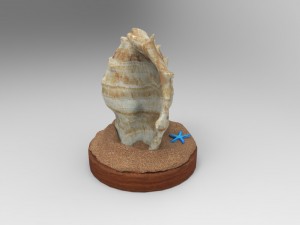 Seashell 3D 모델