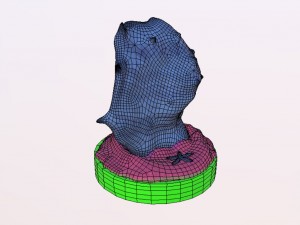 Seashell 3D मॉडल