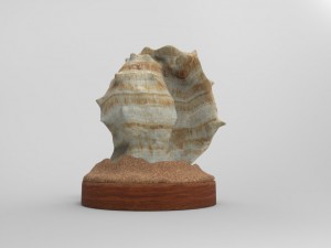 Seashell 3D मॉडल