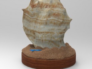 Seashell 3D मॉडल