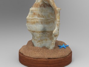 Seashell 3D मॉडल