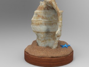 Seashell 3D मॉडल