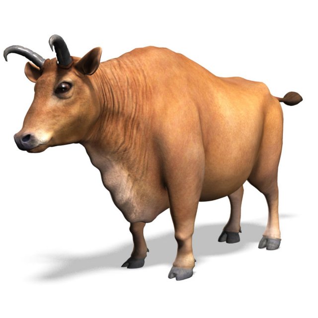 bull 3D Model .c4d .max .obj .3ds .fbx .stl .blend 