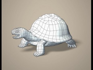tortoise 3D Модель