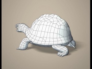 tortoise 3D Модель