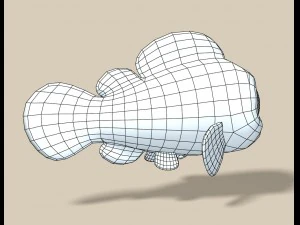 clown fish 3D Model